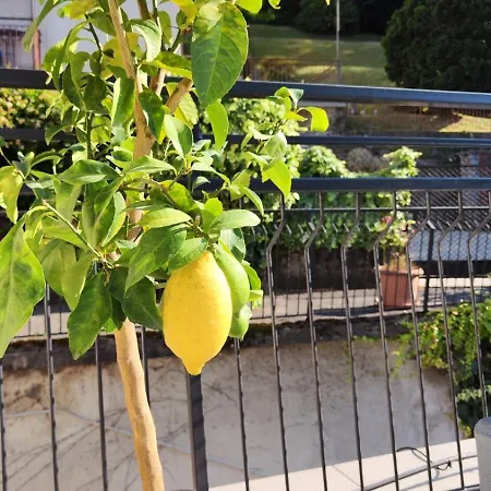 Apartman Tavernoland - Duck Side Of Como